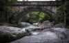 Paluma Bridge